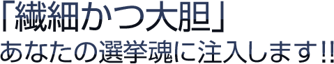 「繊細かつ大胆」あなたの選挙魂に注入します!
